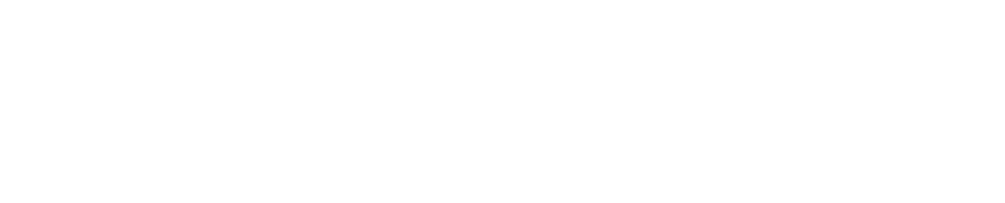 The Louie Team logo